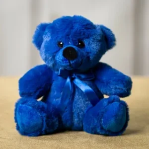 Soft Teddy Bear